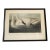 John James Audubon Art Print - Trumpeter Swan For Sale