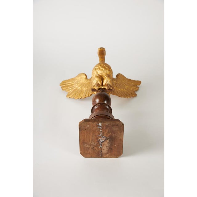 Italian Artist, Eagle, 1800s, Carved and Gilded Walnut For Sale - Image 6 of 10