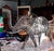 1990s Elephant Made of Welded Bicycle Chains Sculpture in Recycled Metal, 1990s For Sale - Image 5 of 7
