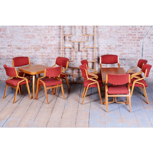 Mid-Century Czech Chairs in Maple attributed to Ludvik Volak for Drevopodnik Holesov, 1960s, Set of 10 For Sale - Image 13 of 17