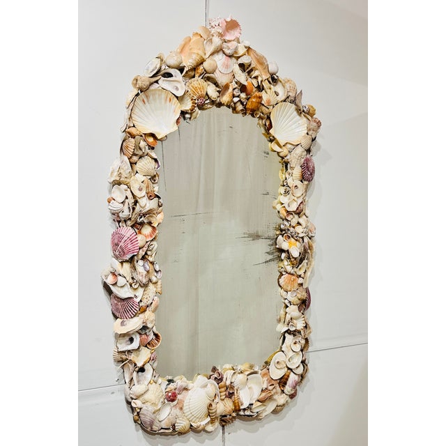 Shell Antique Seashell Wall Mirror For Sale - Image 7 of 10