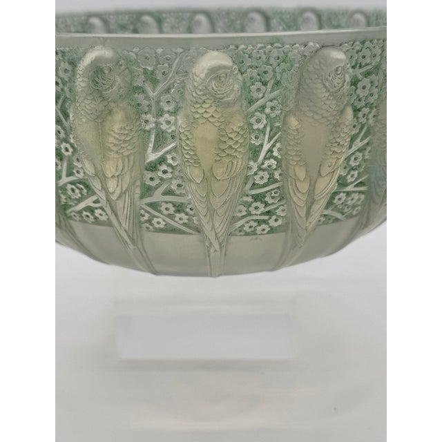 Glass Perruche Bowl by R. Lalique, 1931 For Sale - Image 7 of 10