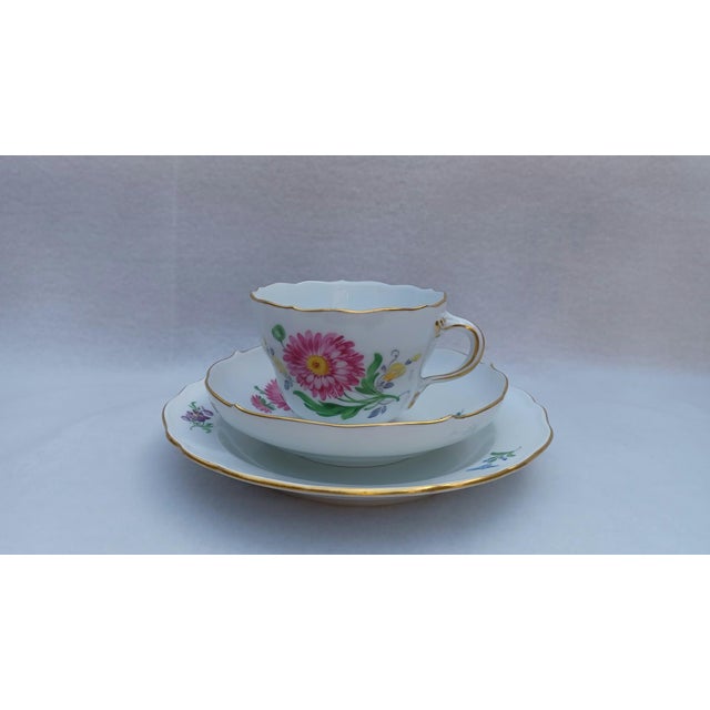 20th-Century Meissen Porcelain Coffee & Tea Trio Set with Hand-Painted Aster Motif About This Piece This exquisite...