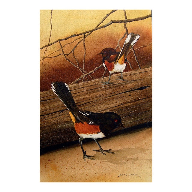 1976 Spotted Towhee Sparrow Painting by Jerry Weers For Sale