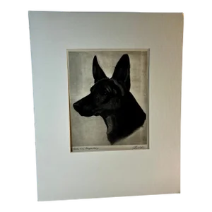 1931 German Shepherd Dog Print
