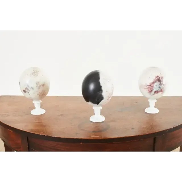 Fascinating set of three ostrich egg specimens that have been painted or dyed. Beautifully crafted pieces perfect for a...