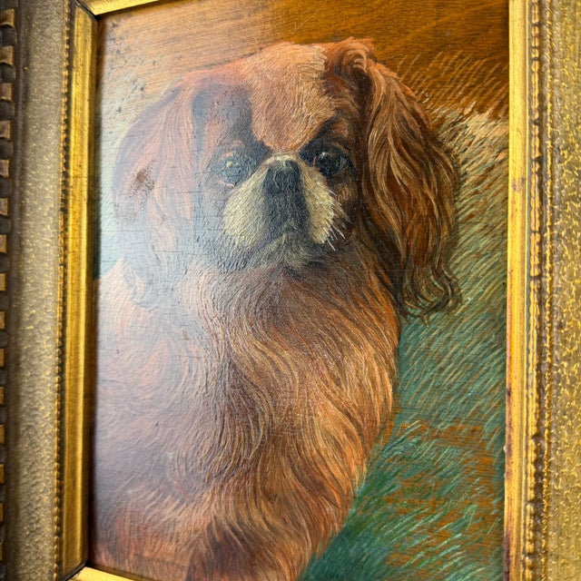 Pekingese Dog Portrait, Oil on Panel, 20th Century, Framed For Sale - Image 6 of 12
