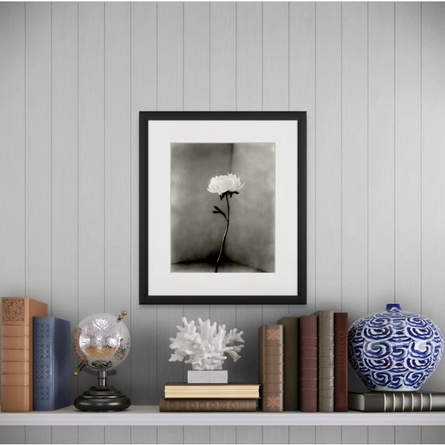 Peony No.15 — Analogue Black and White Floral Photography, 40 x 32 cm Peony No.15 is an analogue monochrome floral...