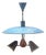 Zeist Ceiling Lamp by H. TH. J. A. Busquet for Hala, 1950s For Sale