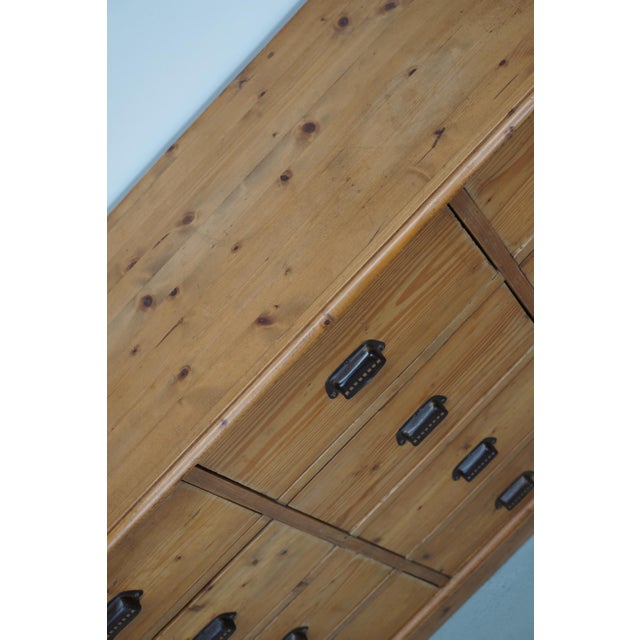 German Pine Apothecary Cabinet, 1930s For Sale - Image 6 of 18