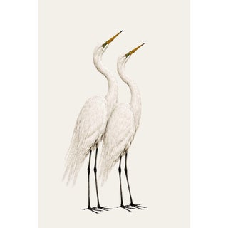 Crane Study I, Neutral Coastal Bird Art Print, 16" X 24" For Sale