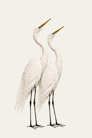 Crane Study I, Neutral Coastal Bird Art Print, 16" X 24"