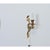 Metal Early 20th Century French Set of Four Louis XV Style Bronze Wall Sconces For Sale - Image 7 of 13