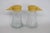 This beautiful Pair of Salt and Pepper Shakers is made of glass with plastic flip-top lids. Both Shakers in this lovely...