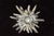 Edelweiss Flower Brooch, 1990s For Sale - Image 6 of 7