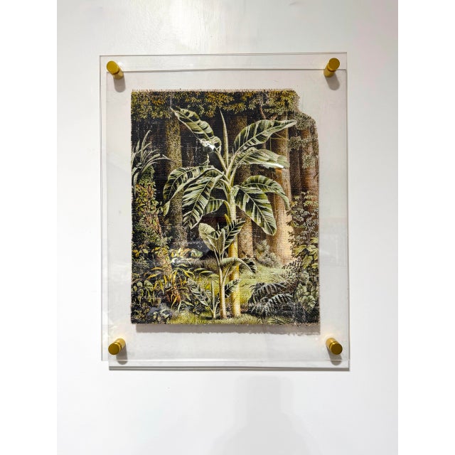 A dense tropical interior, rich with oversized leaves and layered shadow. The dark ground pulls you in while the greens...