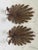 1970s a Pair of Wood Sunburst Form Wall Sconces For Sale - Image 6 of 7