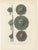 Ferdinand Séré, Lion Head Door Knockers, Lüneburg and Hamburg, 1851, Chromolithograph For Sale - Image 3 of 9