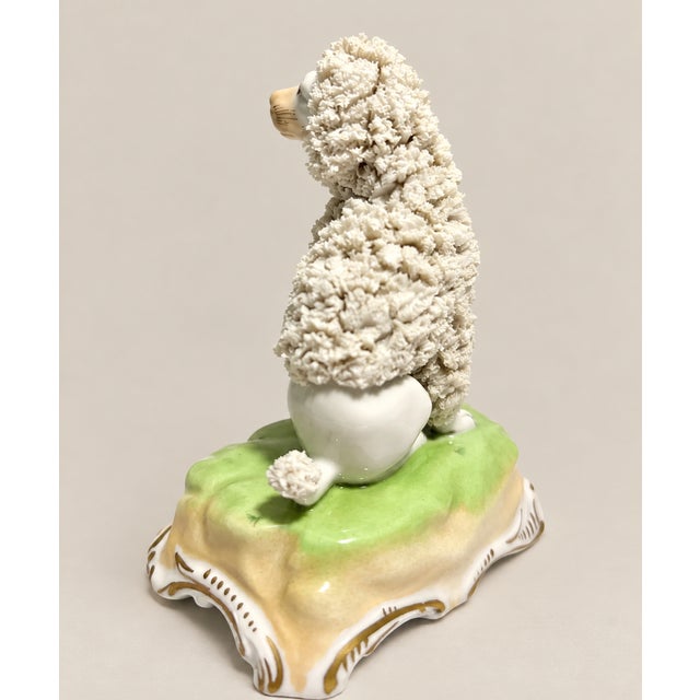 Dresden Porcelain Antique Dresden Germany Porcelain Poodle With Applied Floral Encrustation For Sale - Image 4 of 7
