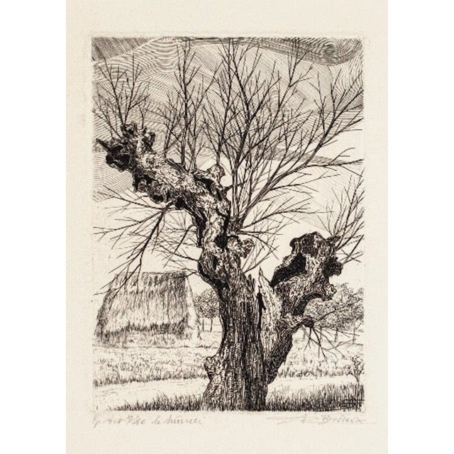 André Roland Brudieux - The Oak - Etching - 1960s For Sale - Image 3 of 3