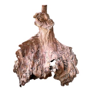 Vintage Organic Driftwood Decorative Object For Sale