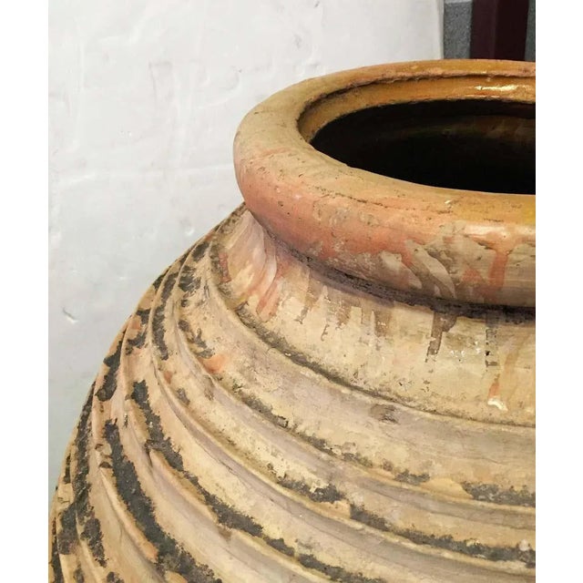 19th Century Large Greek Garden Urn or Oil Jar For Sale - Image 5 of 11