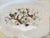 Traditional Herand Rothschild Bird 16" Oval Serving Platter Plate Porcelain 1101/Ro Made in Hungary For Sale - Image 3 of 5
