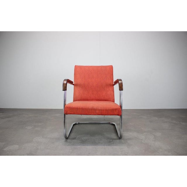 Bauhaus B36P Armchair by Anton Lorenz, Former Czechoslovakia, 1930s For Sale - Image 9 of 15
