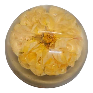 Vintage Lucite Preserved Flower, Domed Paperweight - Resin