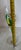 Vintage Hand-Painted Tropical Parrot & Floral Champagne Flutes - Pair For Sale - Image 9 of 9