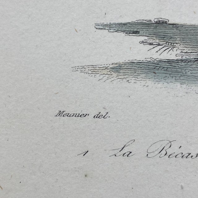 French Antique 18th Century "La Becassine" Bird Engraving Hand Colored Signed Artwork For Sale - Image 10 of 11
