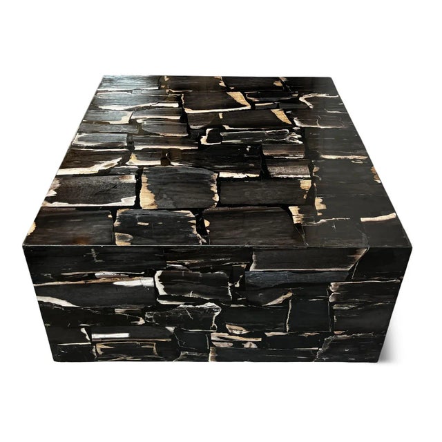 2020s Modern Petrified Square Coffee Table For Sale - Image 5 of 7