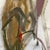 Mixed Media Abstract Painting Pelican by Melanie Brown For Sale - Image 4 of 4
