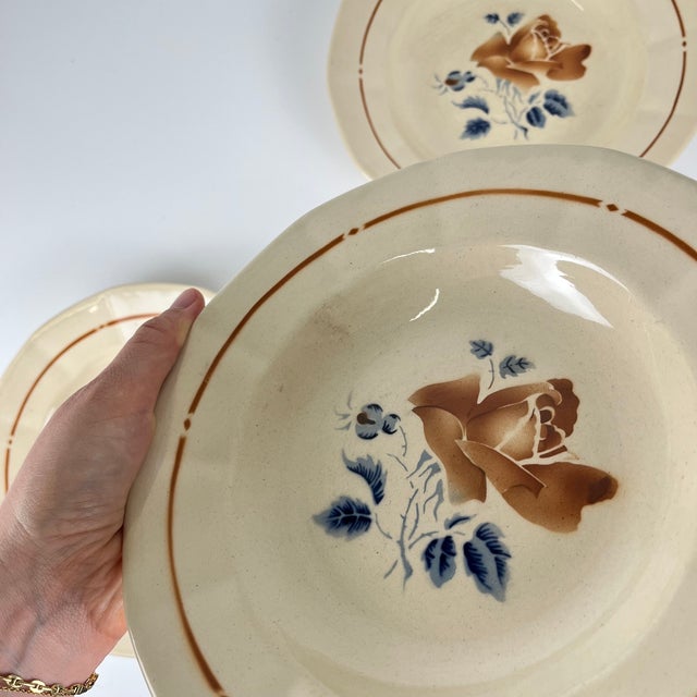 20th Century Soup Plates with Floral Motif from Sarreguemines, 1920s, Set of 4 For Sale - Image 9 of 11
