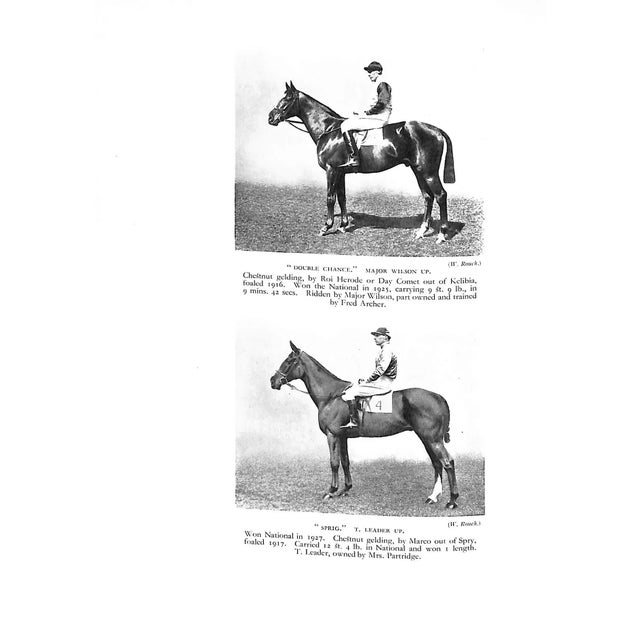 "In My Opinion: Horses and Horsemanship" 1928 Lyon, Major w.e. [Ediited By] For Sale - Image 11 of 12