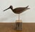 20th C. Mid-Century Modern Style Rustic Shorebird Sculpture on Driftwood For Sale In Raleigh - Image 6 of 6