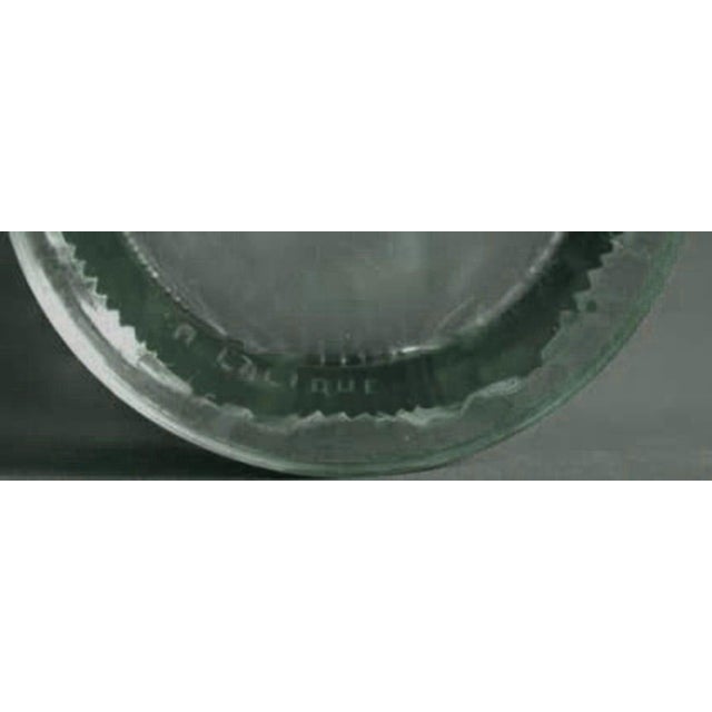 1920s 1920s Lalique Sauterelles Molded Blown Glass Vase Decoration With Locusts For Sale - Image 5 of 5