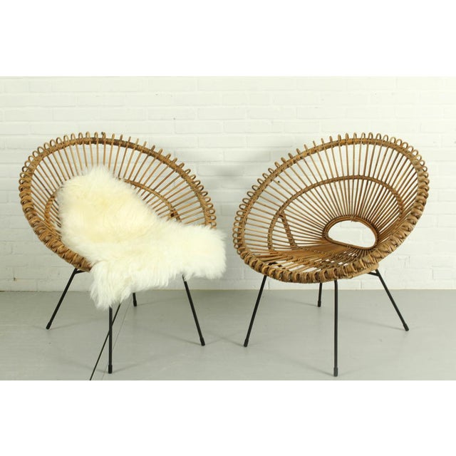 Set of Vintage Sunburst Chairs from Rohé Noordwolde, 1950s For Sale - Image 9 of 17