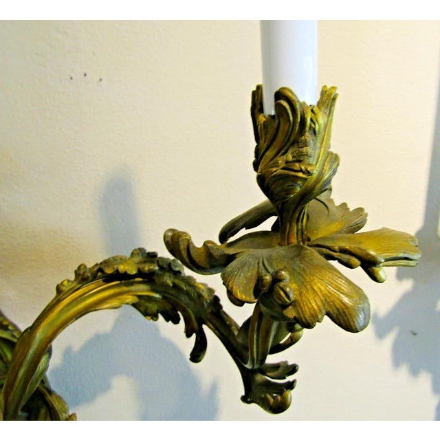 Antique French 19th Century Louis XV Gilt Bronze Two Light Wall Sconces - a Pair For Sale - Image 11 of 18