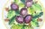 Ceramic Vintage 11” Italian Renaissance Revival Hand Painted Plum Fruit Plate Made in Italy Faïence Ceramic For Sale - Image 7 of 7