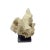 2010s Indonesian Coral Stone On Teak Stand For Sale - Image 5 of 5