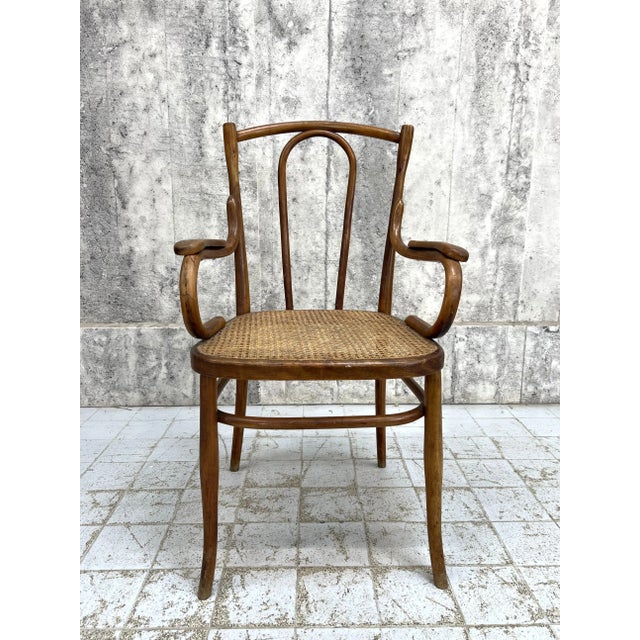 1920s French Individual Bentwood Bistro Chair Carver with Cane Seat, 1920s For Sale - Image 5 of 9