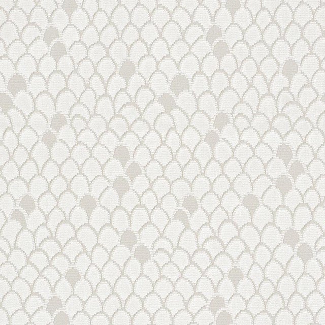 Schumacher Esther Velvet Fabric in Opal For Sale