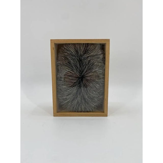 Art object *"Brush study 1" *by Christian Frosch *concept art/ dada art object *Christian Frosch examines in pseudo-...