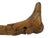 Antique Folk Art Carved Wood Dog Animal & Bearded Man Double Face Walking Stick For Sale - Image 9 of 10
