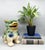 Chinoiserie Large 1980s Chinese Sancai-Style Glazed Ceramic Foo Dog – Chinoiserie / Asian Traditional For Sale - Image 3 of 13