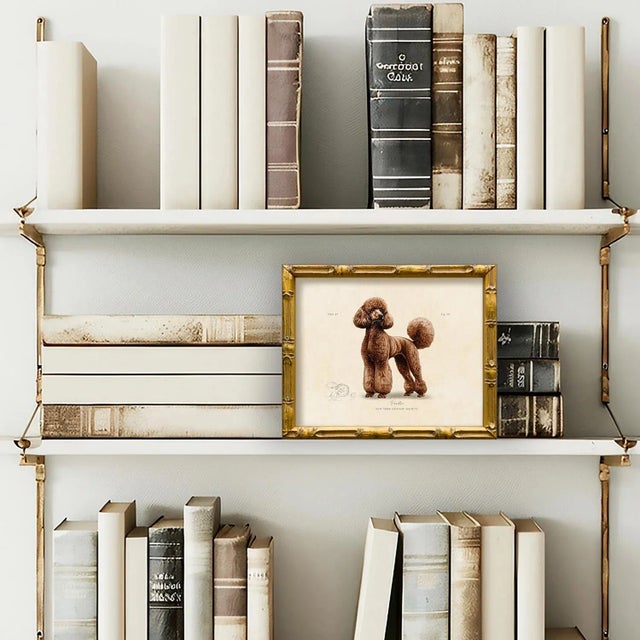 This reproduction print of a classic Brown Poodle is from our vintage "World of Dogs" series. Please note there are many...