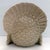 1940s 1940s Mid Century Modern Ceramic Turkey Tureen For Sale - Image 5 of 7