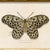 Contemporary Contemporary Reproduction of Vintage "Garden Friends" Art Print, Leopard Framed Butterfly For Sale - Image 3 of 4
