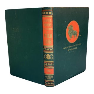 1954 Vintage Encyclopedia of Wild Life: Birds of the World Illustrated Book For Sale
